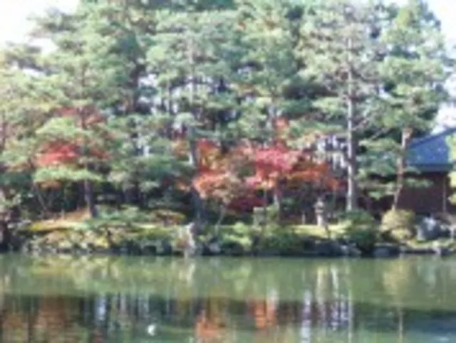 【紅葉・見ごろ】清水園_1