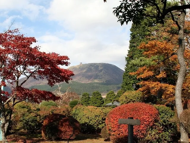 【紅葉・見ごろ】県立恩賜箱根公園_1