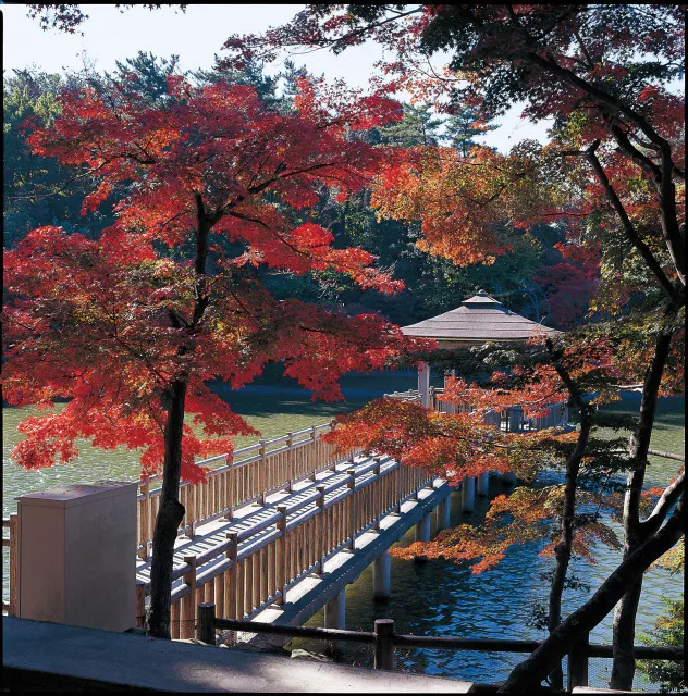 【紅葉・見ごろ】東公園_1