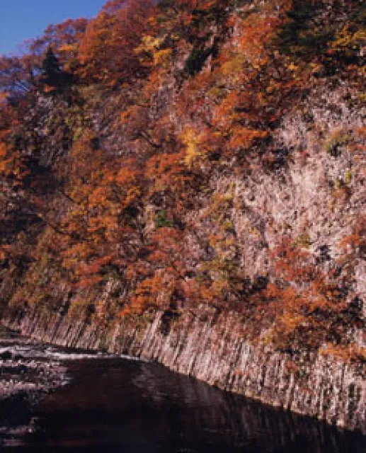 【紅葉・見ごろ】早出川ダム_1
