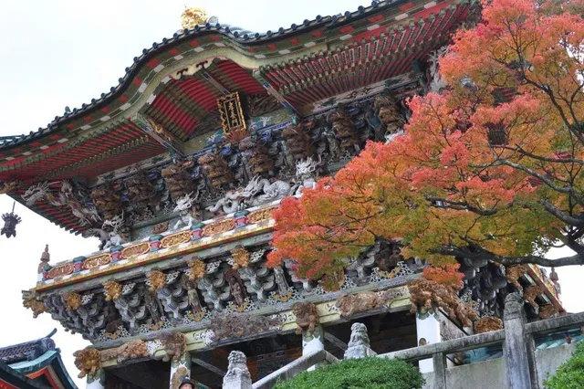【紅葉・見ごろ】耕三寺_1