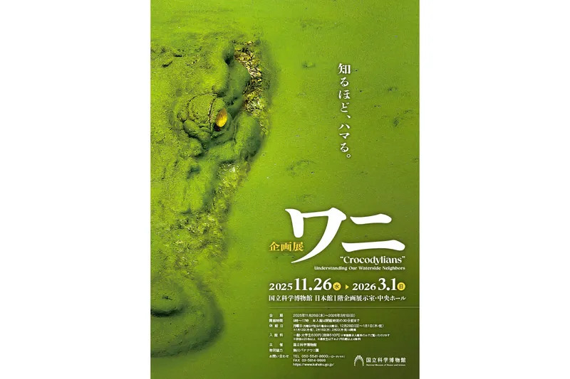 企画展「ワニ」