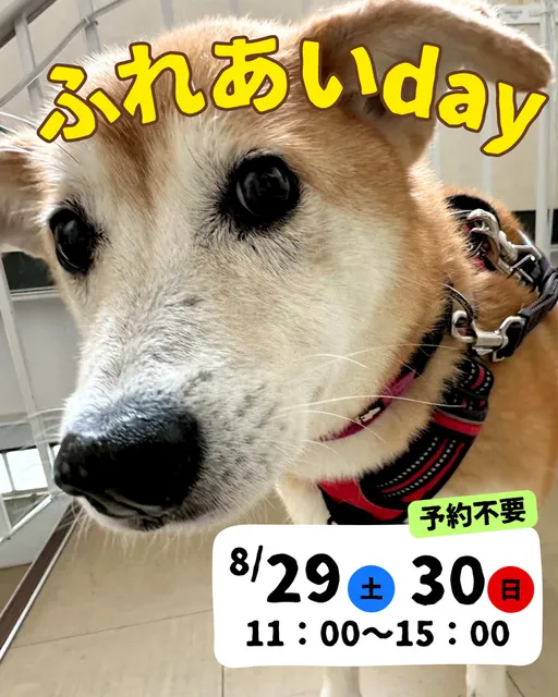 ふれあいday with神石＆福山（8月）_1