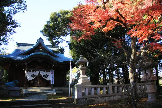 【紅葉・見ごろ】江沼神社_1