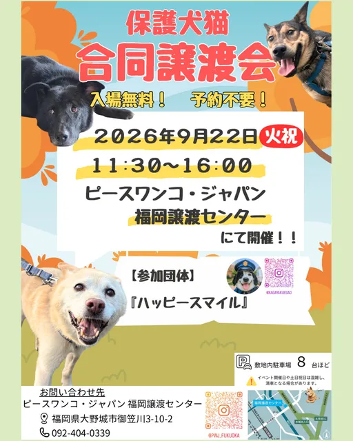 保護犬・猫合同譲渡会_1