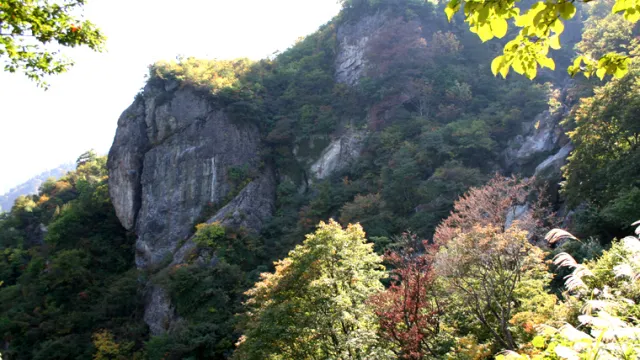 【紅葉・見ごろ】森林公園天竺の里・裏巻機渓谷_1