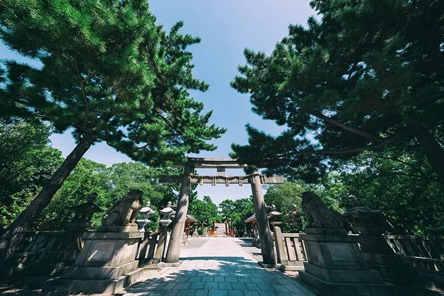 住吉大社 七五三祝祭_1