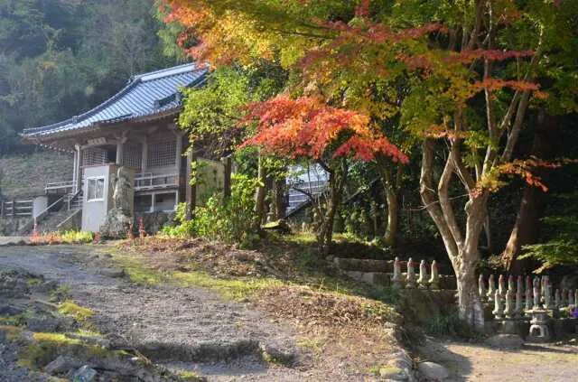【紅葉・見ごろ】鷹栖観音堂_1