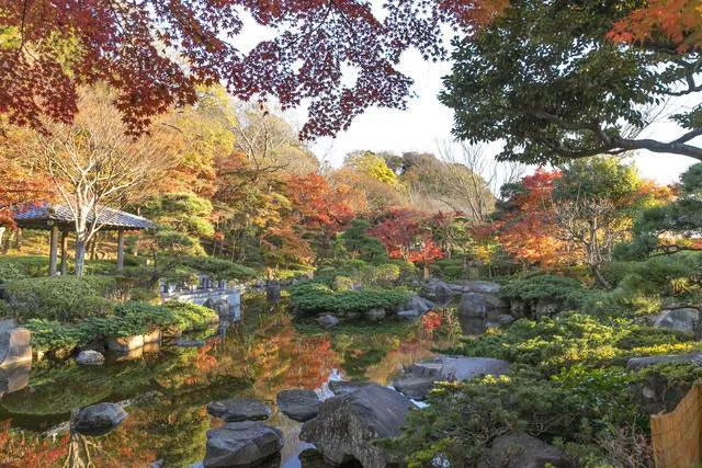 【紅葉・見ごろ】大磯城山公園_1