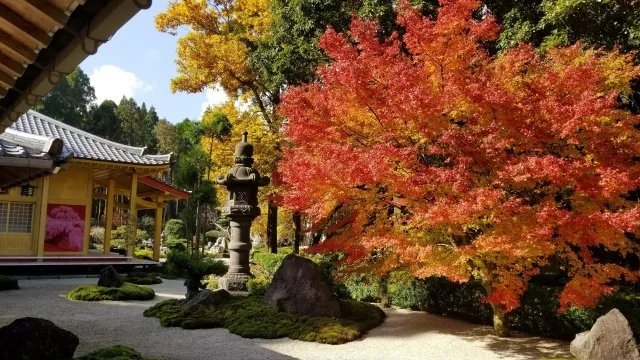【紅葉・見ごろ】真言宗　不動山青隆寺_1