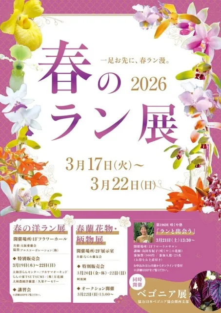 春のラン展　春の洋ラン展_1