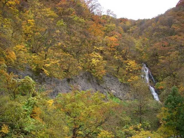 【紅葉・見ごろ】青沢渓谷_1