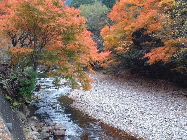 【紅葉・見ごろ】見立渓谷_1