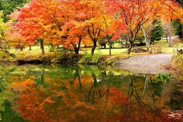 【紅葉・見ごろ】伊奈ヶ湖_1