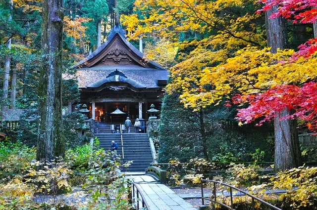 【紅葉・見ごろ】光前寺_1