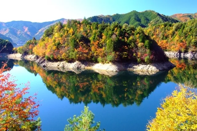 【紅葉・見ごろ】岩屋ダム_1