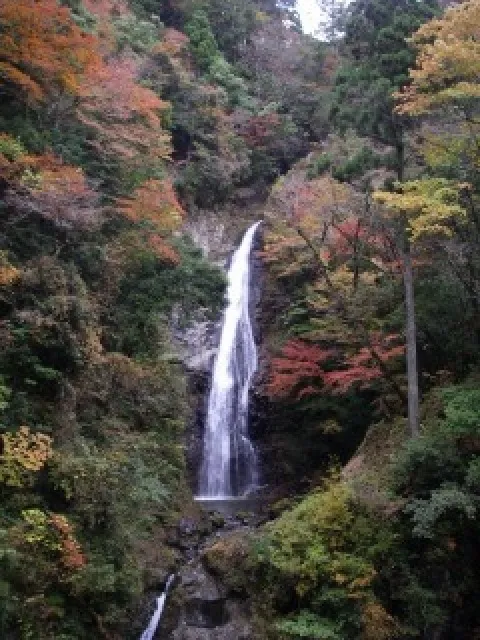 【紅葉・見ごろ】原不動滝_1