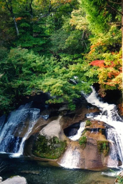 【紅葉・見ごろ】泉源渓谷_1