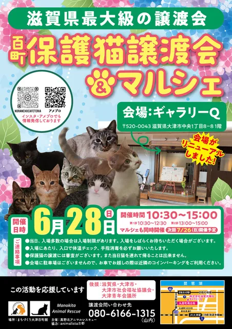 百町保護猫譲渡会＆マルシェ_1