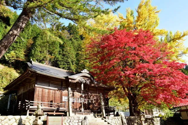 【紅葉・見ごろ】徳山神社_1
