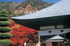 【紅葉・見ごろ】天台宗別格本山 両子寺_1