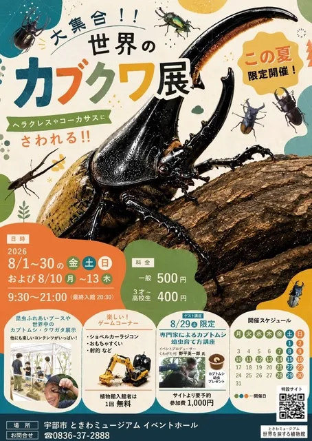 世界のカブクワ展_1