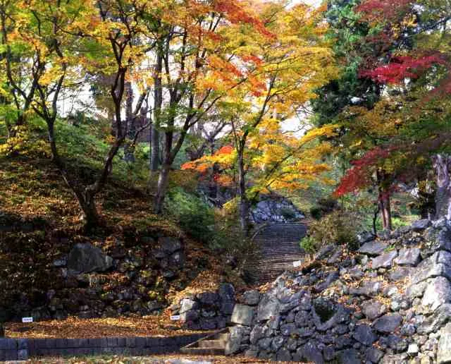 【紅葉・見ごろ】亀ヶ城公園_1