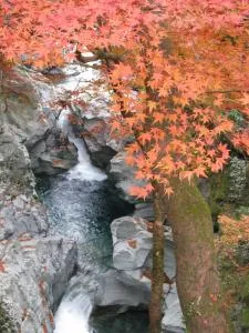 【紅葉・見ごろ】土釜_1
