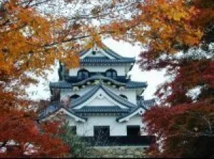 【紅葉・見ごろ】彦根城_1