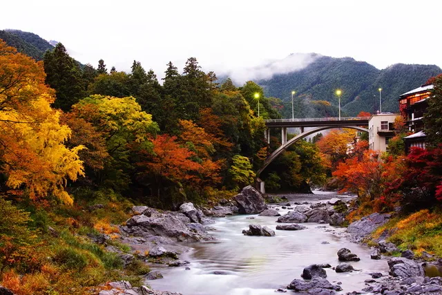 【紅葉・見ごろ】御岳渓谷_1
