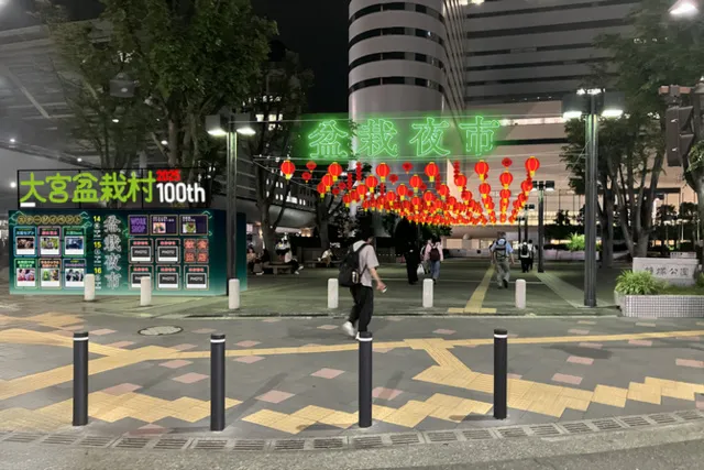 盆栽夜市_1