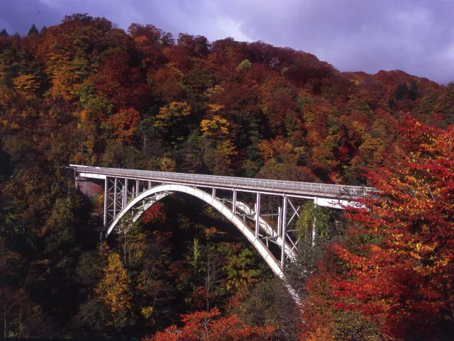【紅葉・見ごろ】国見温泉周辺_1