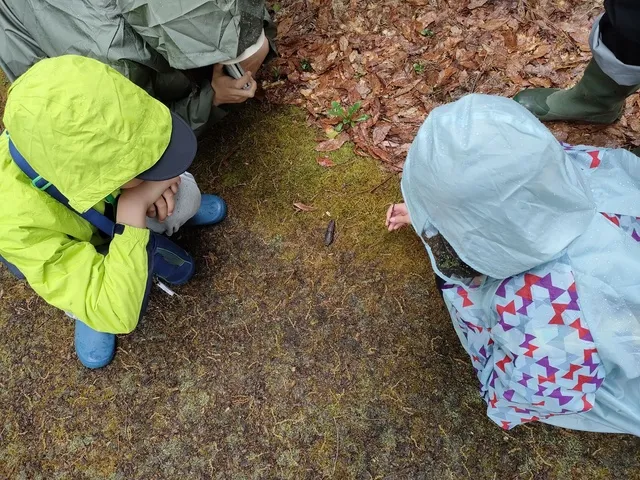 子どもも大人も探求体験！なべくら高原 理科くらぶ「雨の中で生き物探し」_1