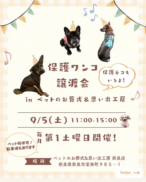 保護ワンコ譲渡会inペットのお葬式＆思い出工房_1