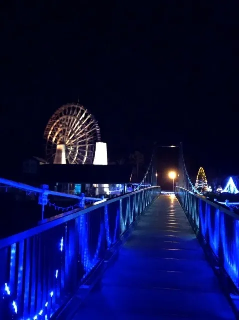 道の駅おばあちゃん市・山岡イルミネーション2025_1