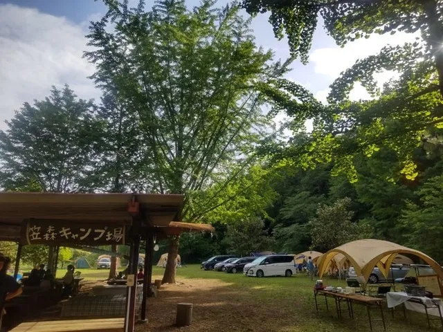 キャンプ場の様子（C）ヤックス自然学校