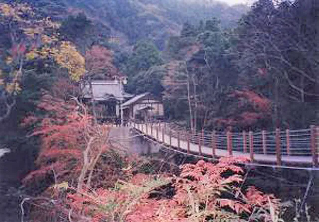 【紅葉・見ごろ】南房総市かじか橋_1