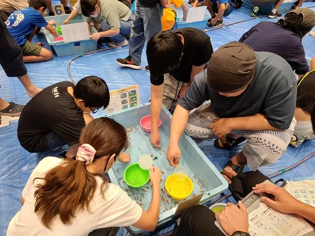 伊吹山杯金魚すくい選手権大会in米原_1