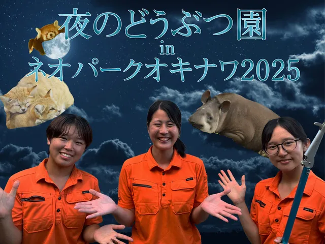 夜のどうぶつ園inネオパークオキナワ2025_1