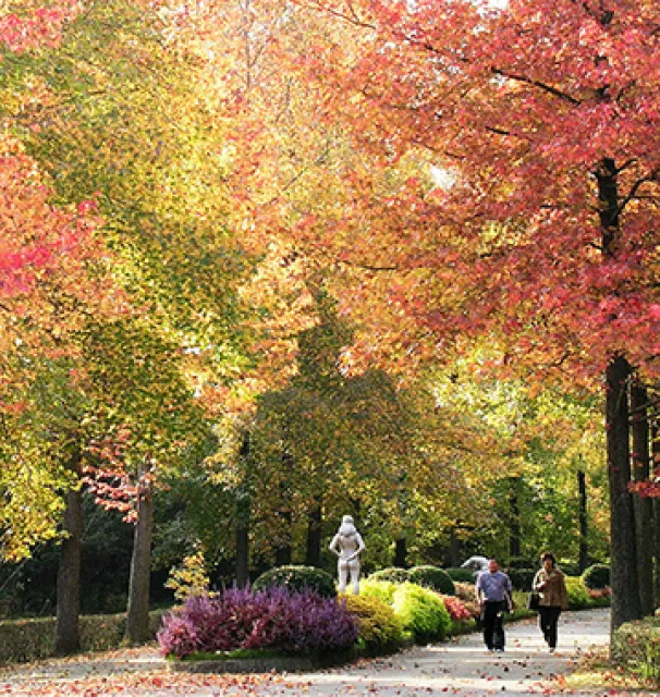【紅葉・見ごろ】兵庫県立フラワーセンター_1