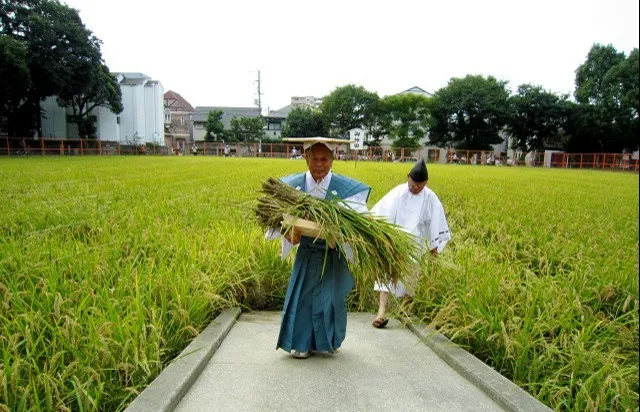 住吉大社 宝之市神事・升の市_1