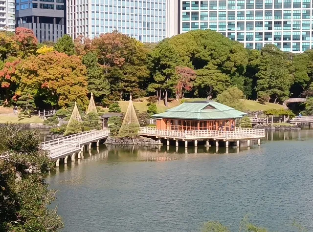 【紅葉・見ごろ】浜離宮恩賜庭園_1