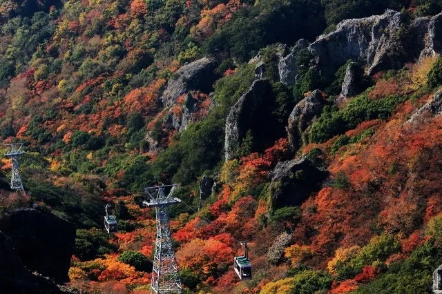 【紅葉・見ごろ】寒霞渓_1
