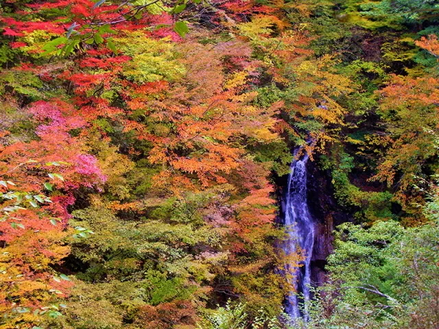 【紅葉・見ごろ】西沢渓谷_1