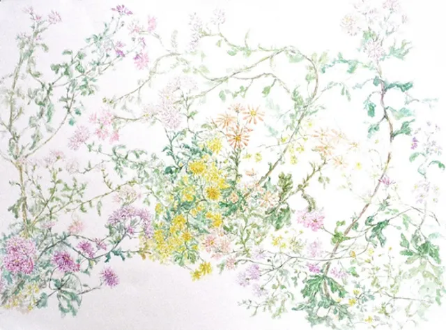 第13回　野の花庭の花を描く水彩画展_1