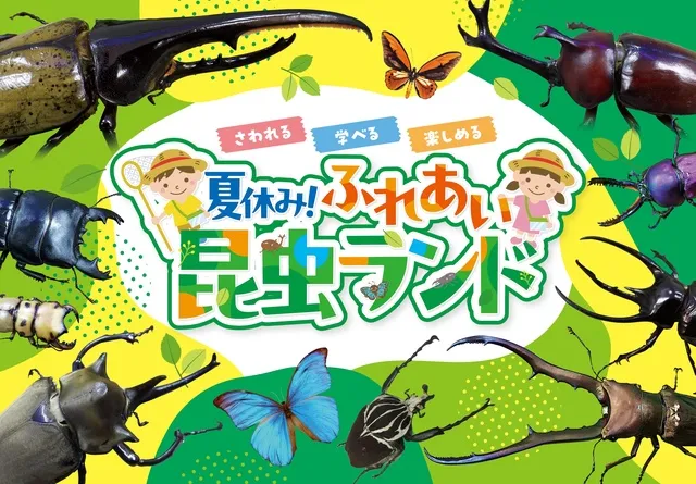 夏休み！ふれあい昆虫ランド_1