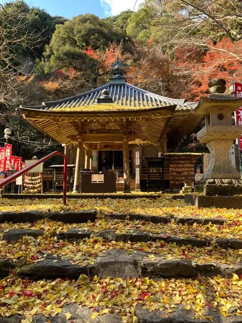 【紅葉・見ごろ】龍蔵寺_1