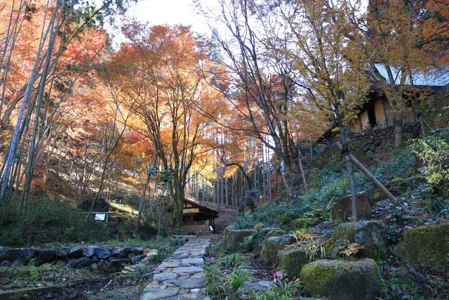 【紅葉・見ごろ】荒川豊蔵資料館_1