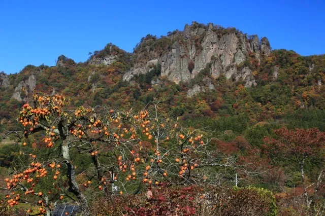 【紅葉・見ごろ】岩櫃山_1