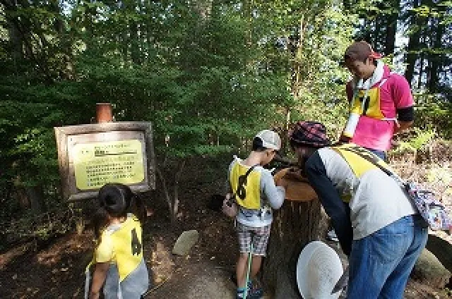 広島市森林公園　グリーンアドベンチャー_1